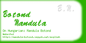 botond mandula business card